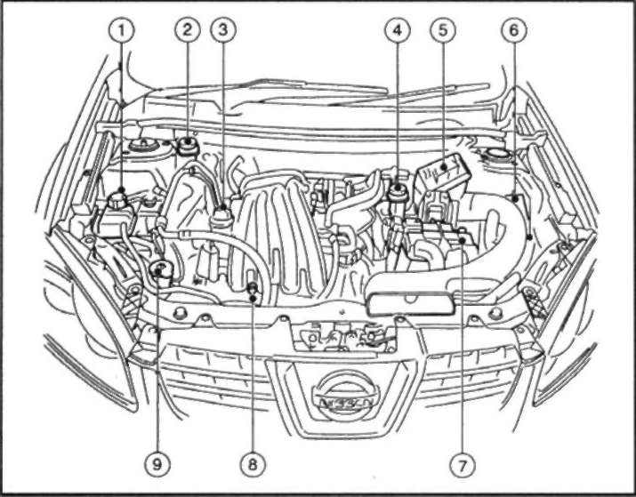 1. Расширительный бачок системы охлаждения двигателя